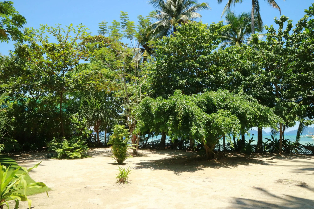 Beach & Waterfront