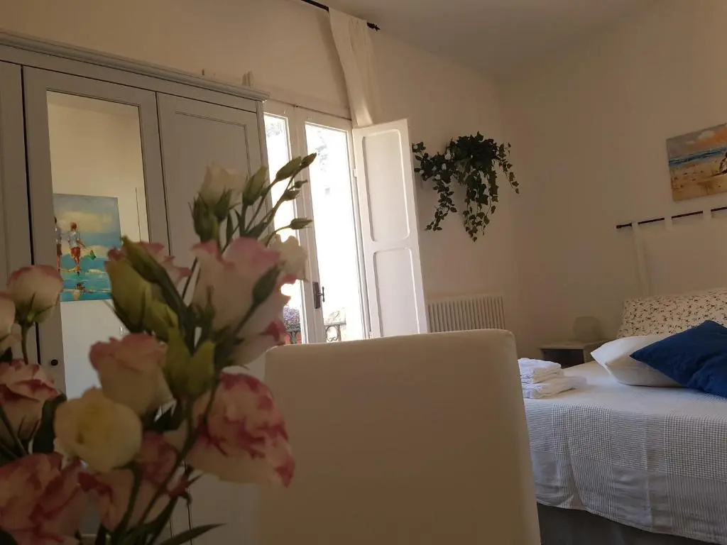 Standard Double room with mountain view (full double bed)