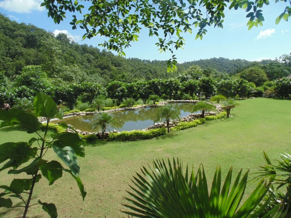 The Rangers Reserve