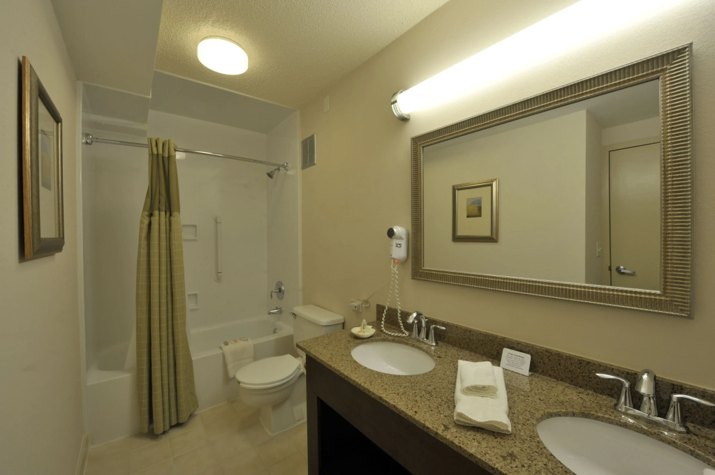 Holiday Inn Chicago West - Itasca - Général