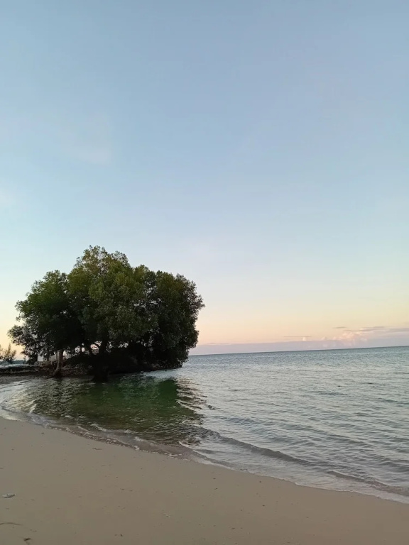 Beach & Waterfront