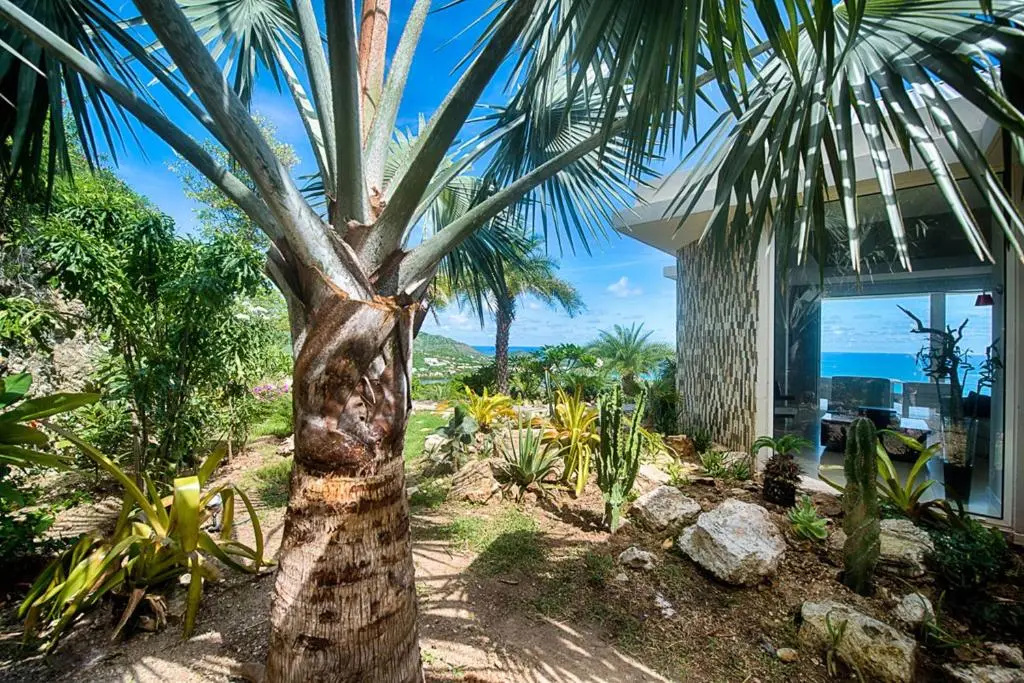 Dream Villa Orient Bay 554