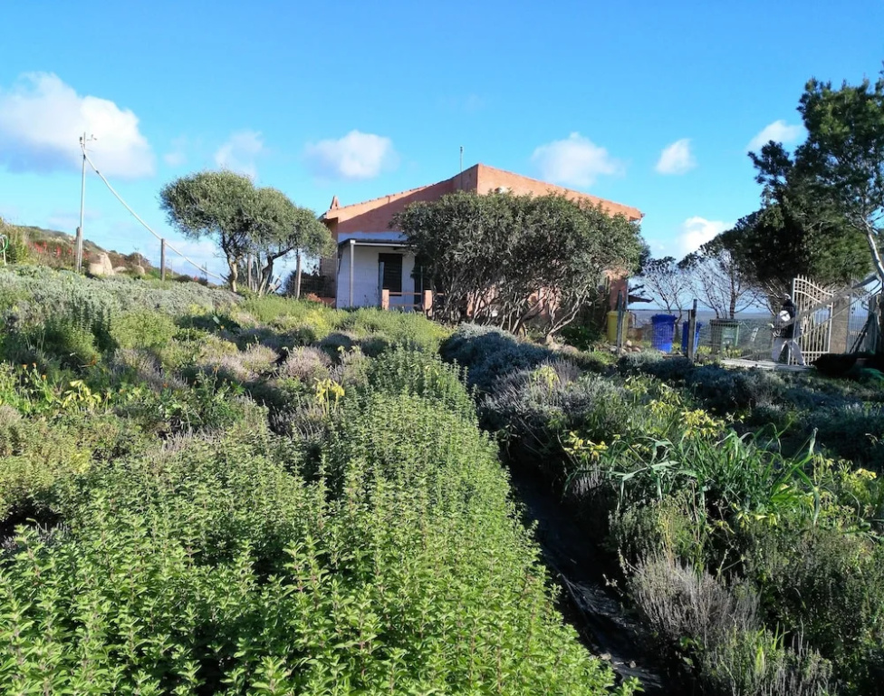 Agriturismo Erbe Matte