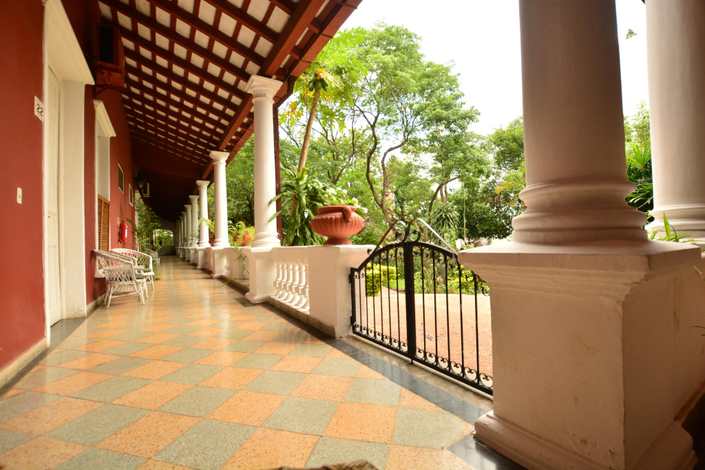 Balcony & Terrace