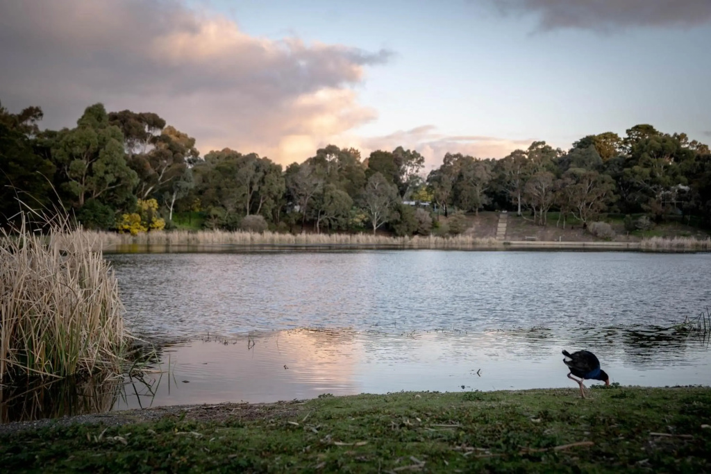 Lake Esmond Place