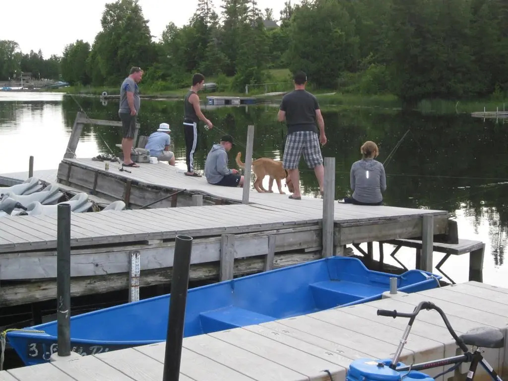Sauble River Marina & Lodge Resort - Général
