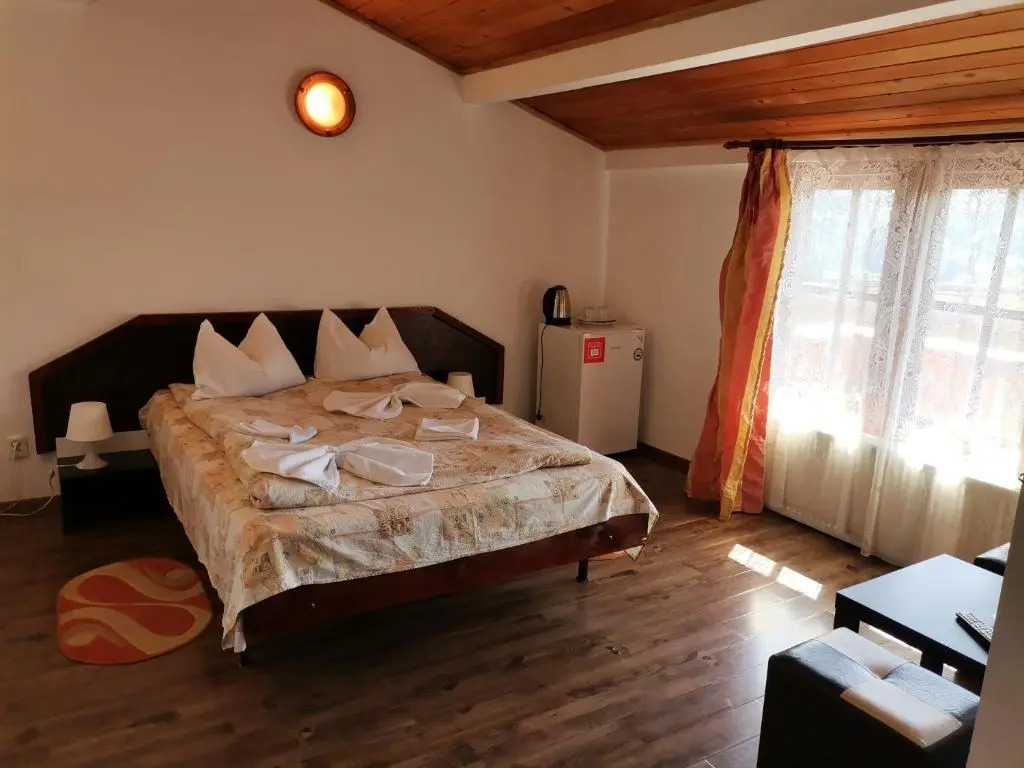 Pensiunea Liziera - фото 3