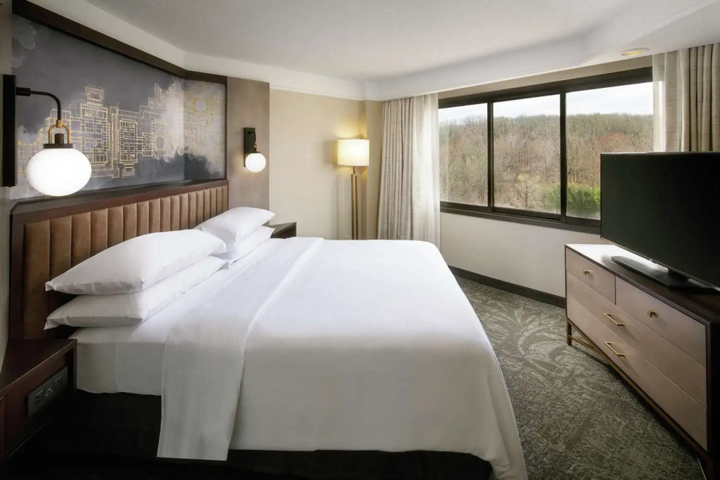 Embassy Suites by Hilton Tysons Corner - Chambres