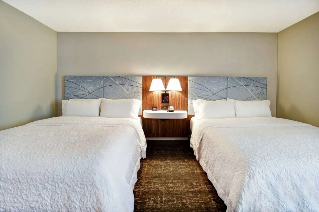 Hampton Inn Atlanta-Mall Of Georgia - Chambres