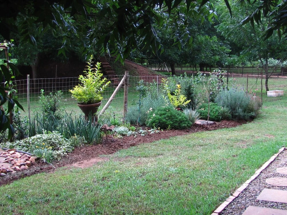 Image 11