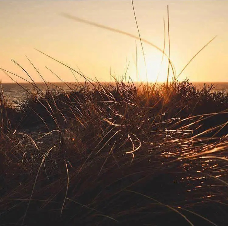 Seebrise-Sylt