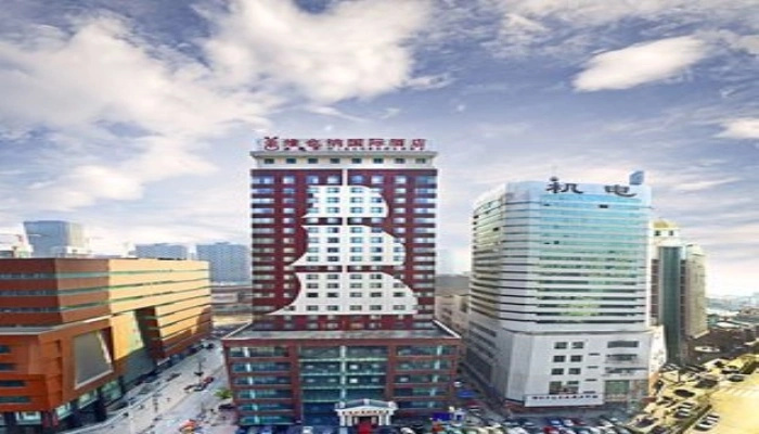 Vienna International Hotel Shenyang Railway Station Branch - Général