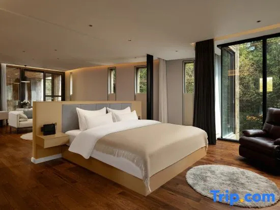 Standard Double room with mountain view (full double bed)