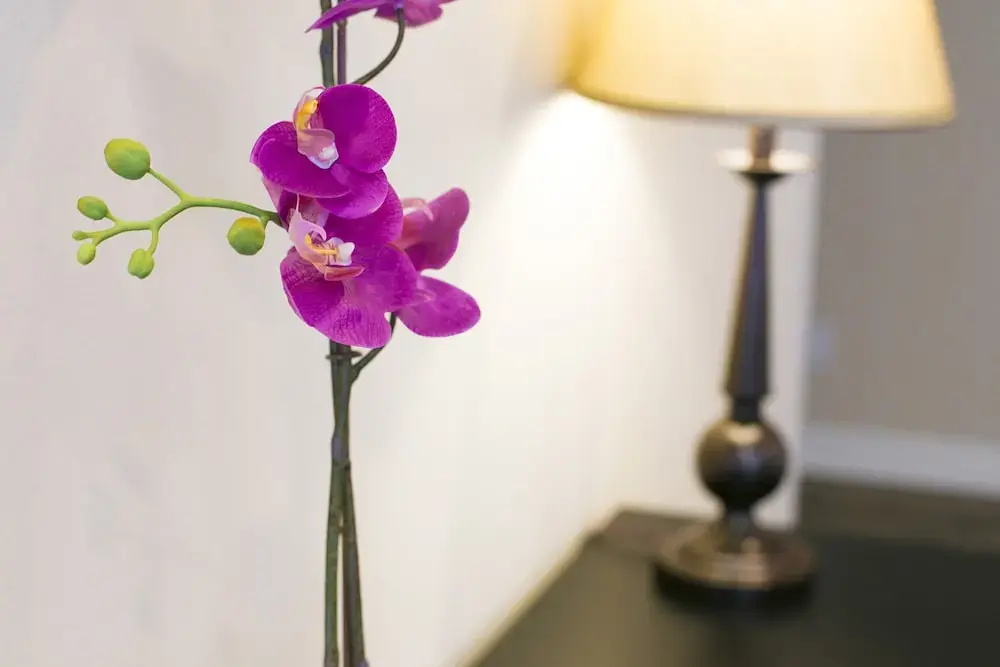 Los Angeles Hollywood Apartments - Chambres