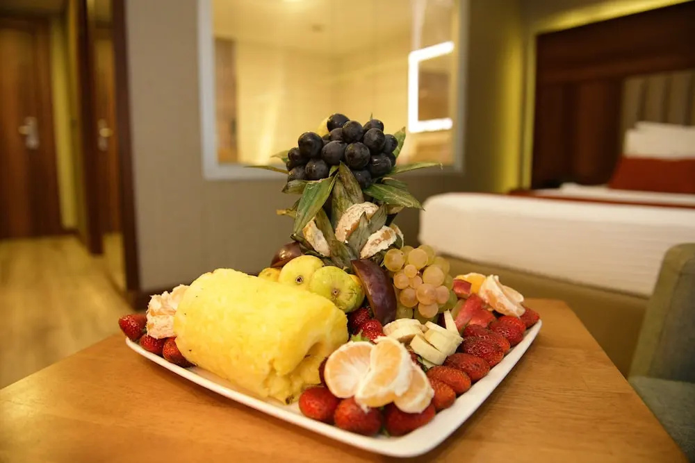 Turizoom Business Hotel & Spa Elbistan - Chambres