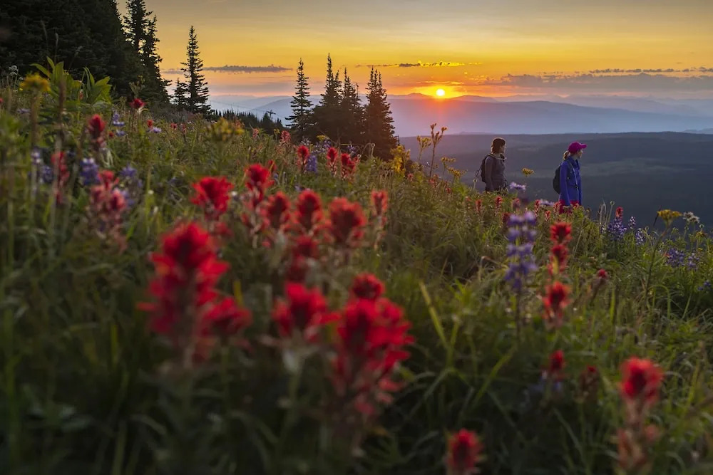 The Residences at Sun Peaks Grand - фото 17