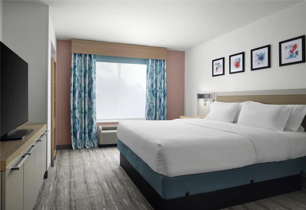 Hilton Garden Inn Tampa East/Brandon - Chambres