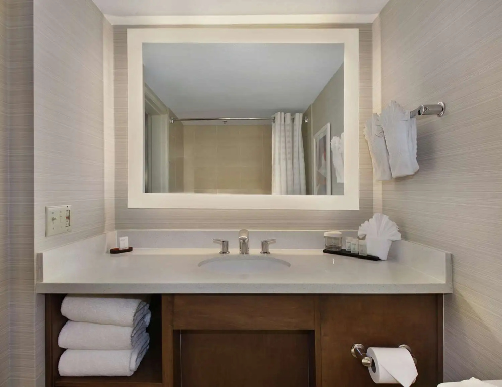 Embassy Suites by Hilton Anaheim North - Général