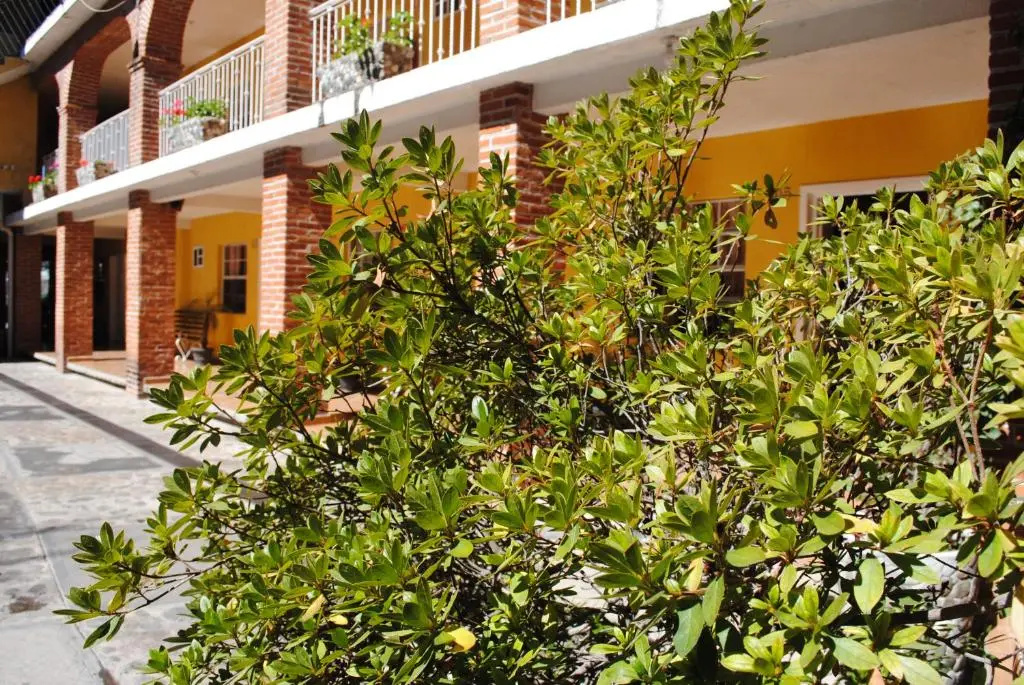 Hotel Real de la Montaña - Chambres