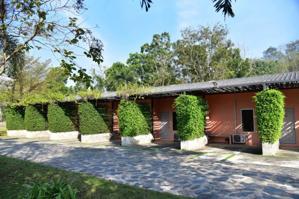 Hotel photo 12