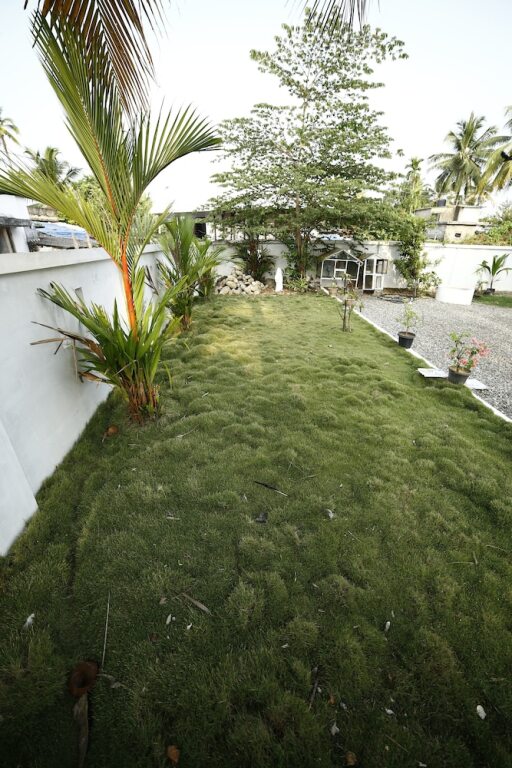 Image 14