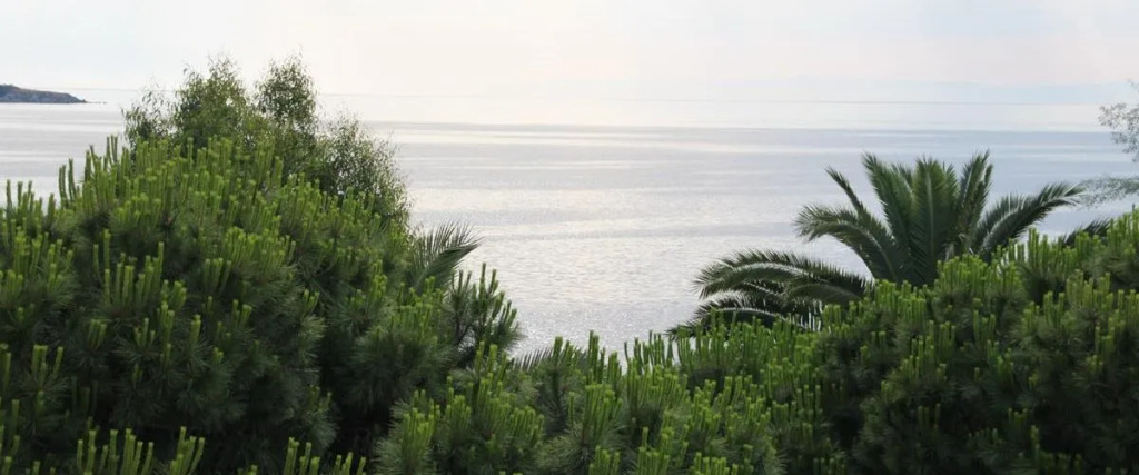 Beach & Waterfront