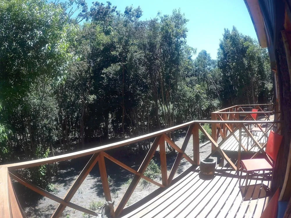 Cabañas Ensenada Bosque Nativo