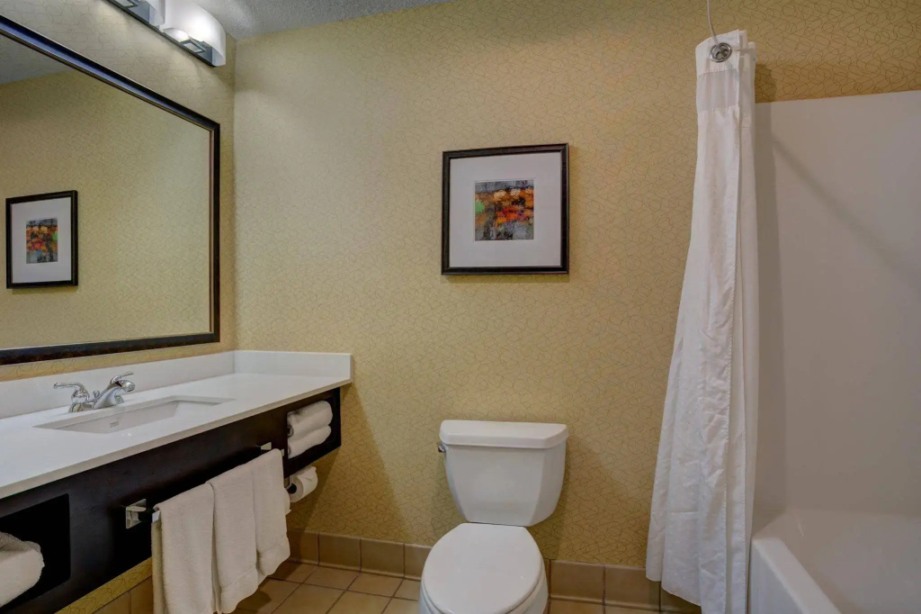 Holiday Inn Hotel & Suites-Milwaukee Airport by IHG - Général