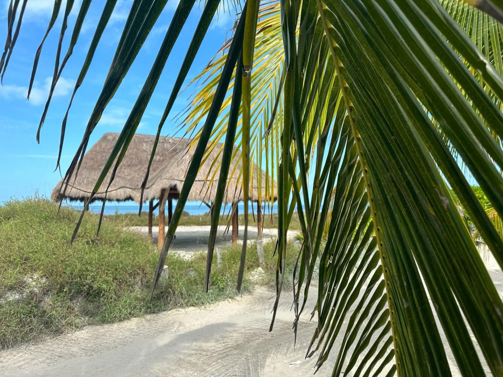 Image 10