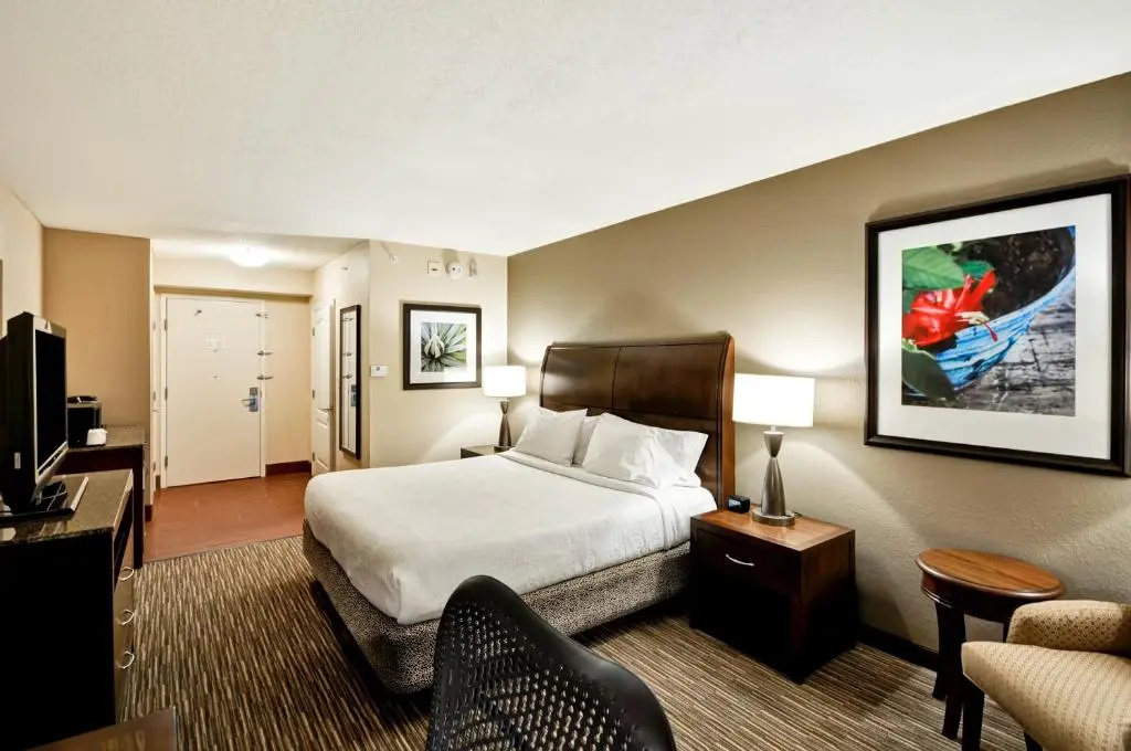 Hilton Garden Inn Tampa North Busch Gardens - Chambres