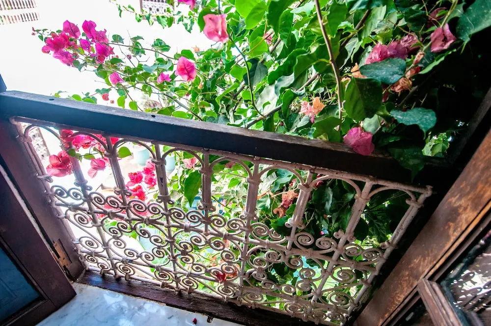 Balcony & Terrace