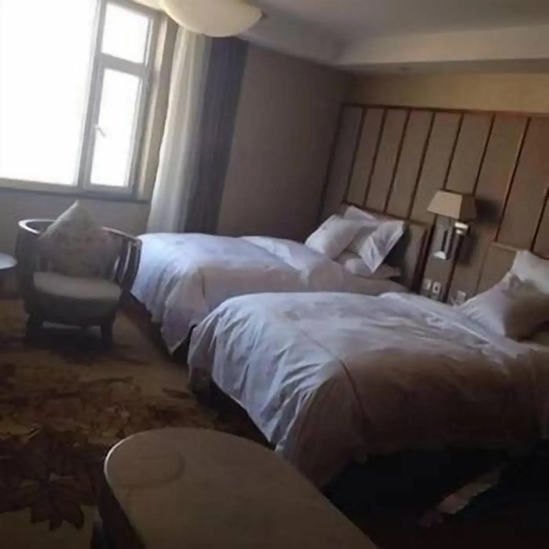 Changli Lijin Hotel - Général