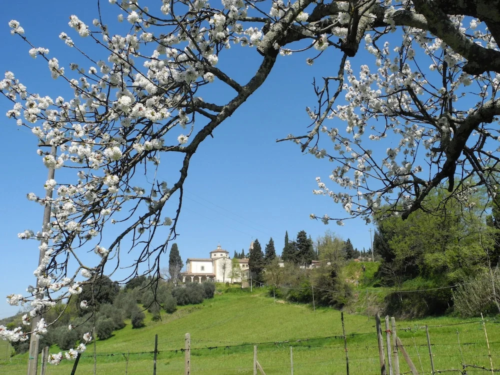 Affittacamere Leonetto