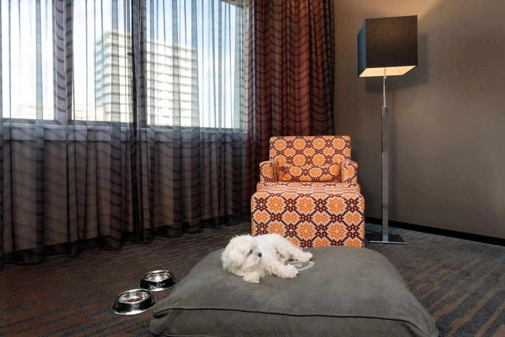 Hotel photo 45