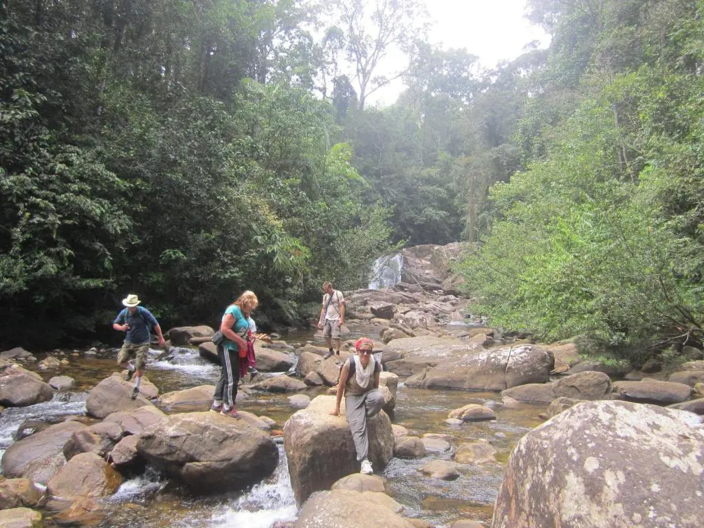 Sinharaja Rest - Chambres