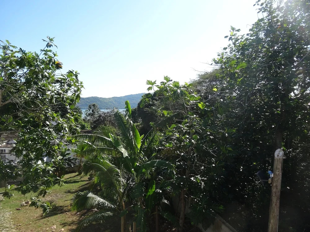 Deluxe Double room with garden view (full double bed)