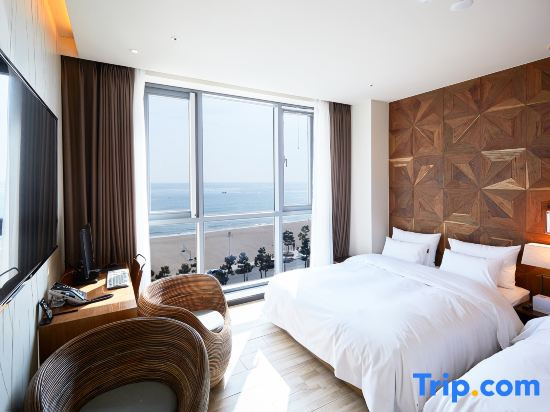 Deluxe Double room (twin beds)