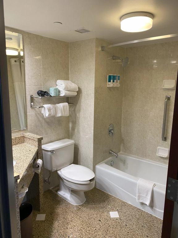 Hotel Indigo Detroit North – Troy by IHG - Général