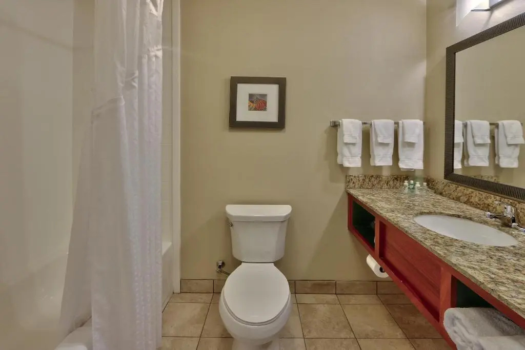Holiday Inn Roswell by IHG - Chambres