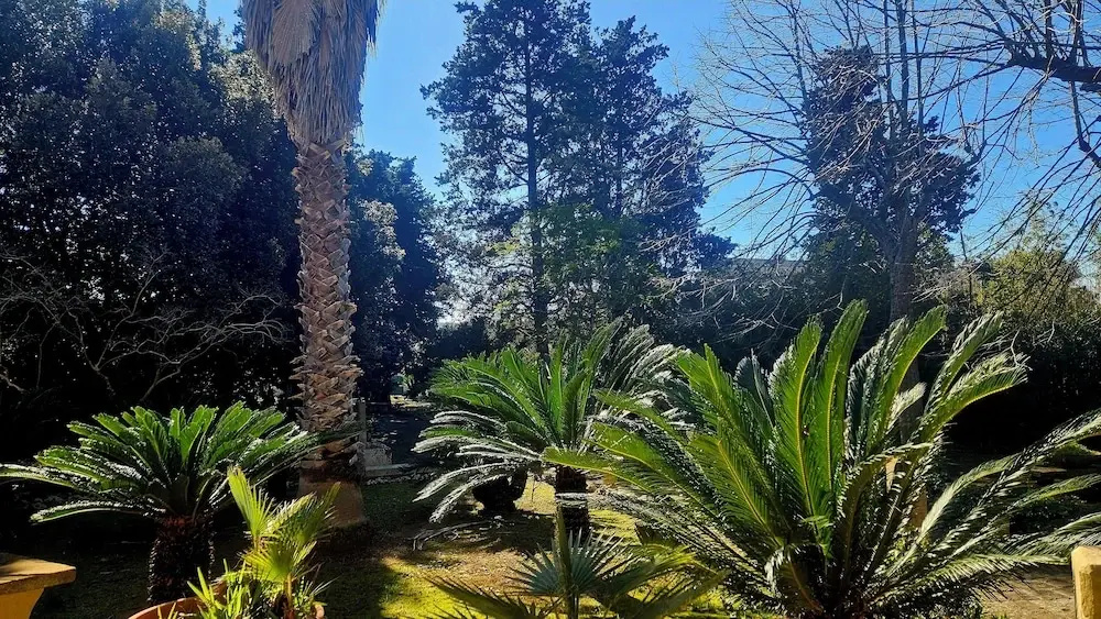 Hotel photo 45