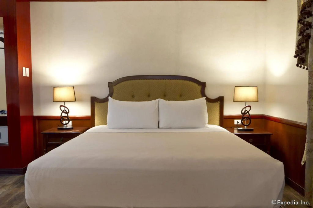 Cebu Dulcinea Hotel - Général