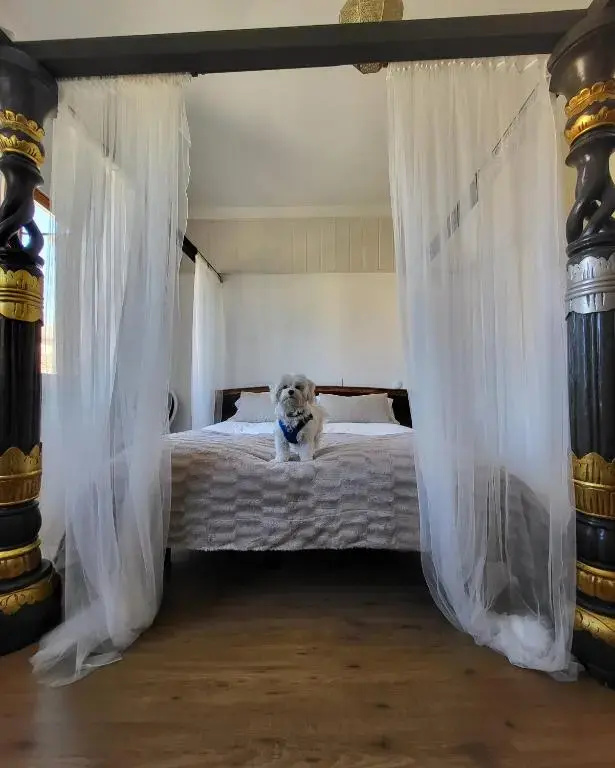 Hotel Rural Luna Llena - Chambres