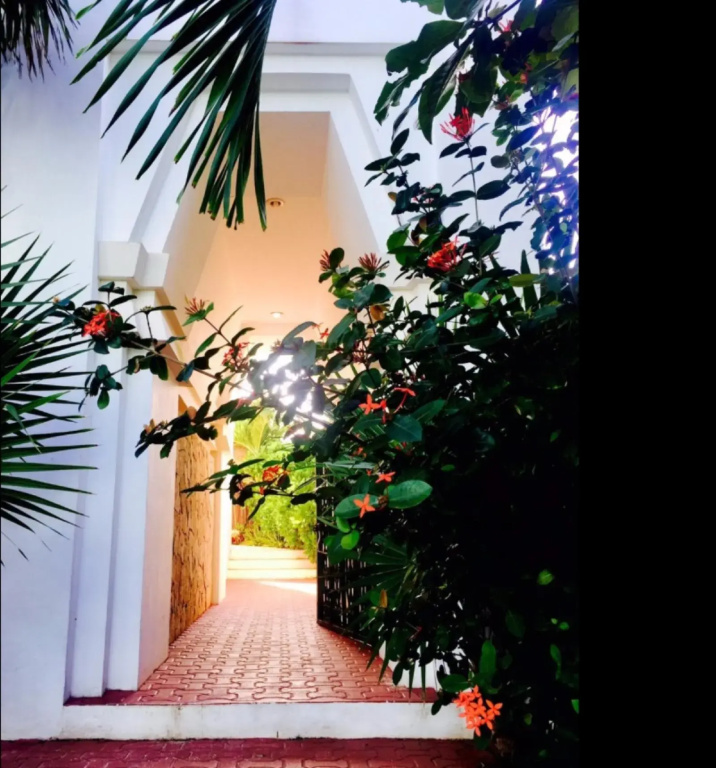 Hotel photo 26