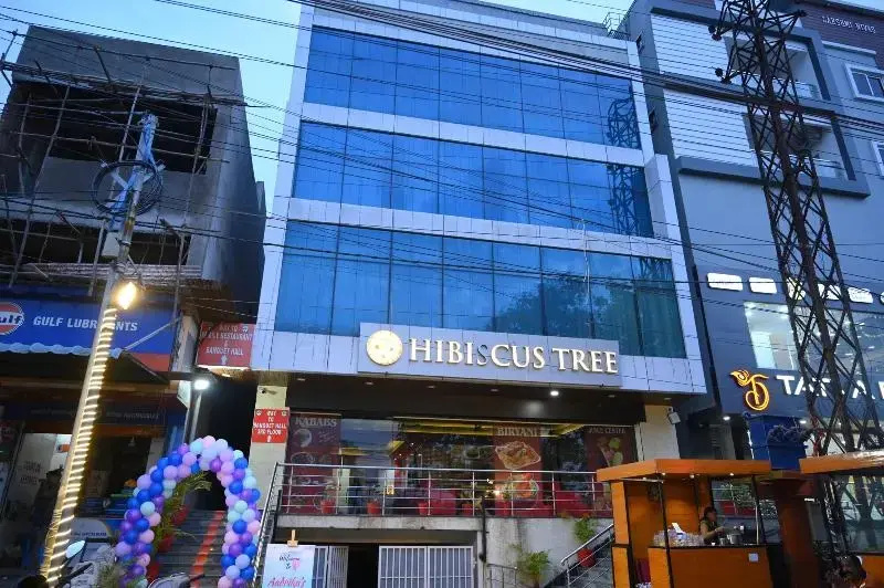 Hotel Hibiscus Tree- Bachupally