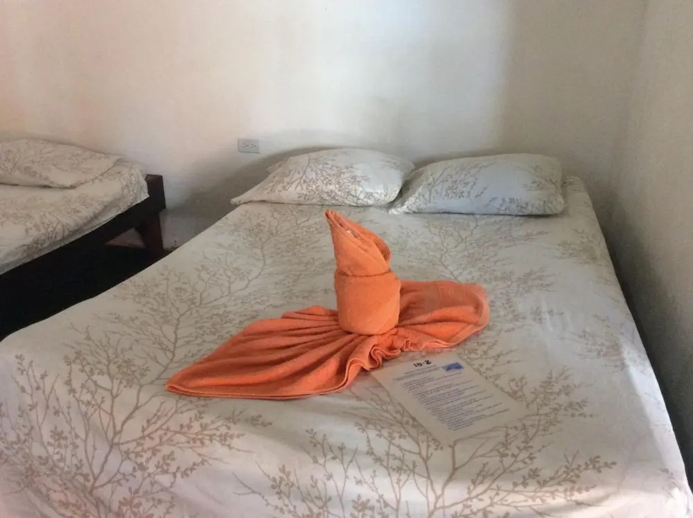 Cabinas Balcon de Mar Tortuguero - фото 3