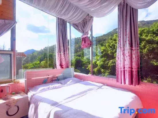 Standard Double room with mountain view (full double bed)