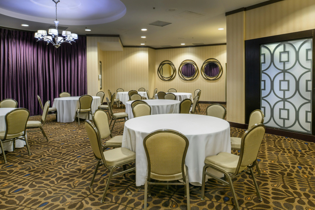 Embassy Suites by Hilton St. Louis Airport - Général