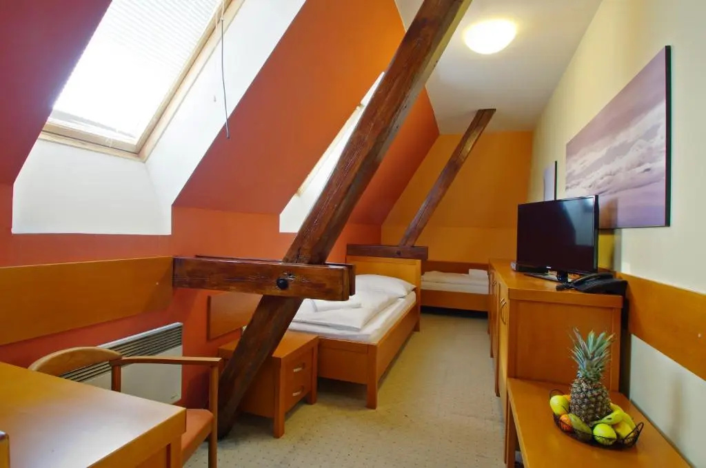 Hotel U Leva - Chambres