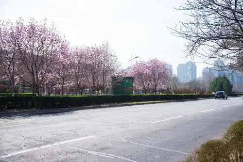 Henan Luoyang·Luoyang City Sports Center· Locals Apartment 00143000