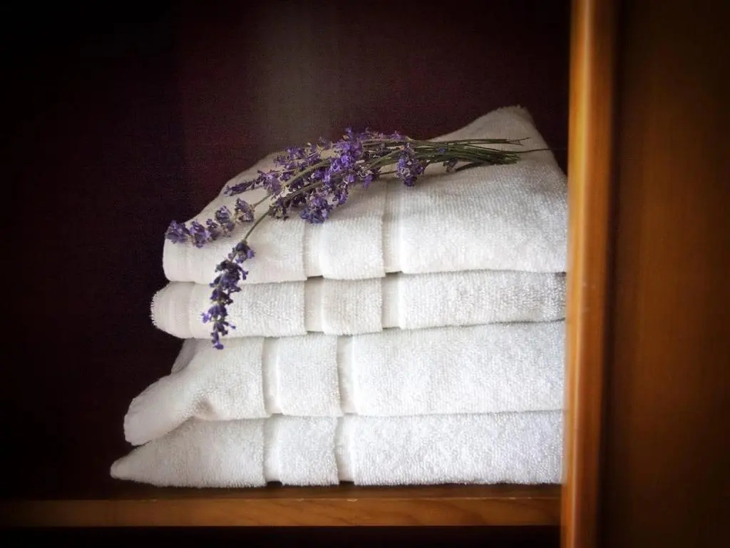 Hotel Cal Teixido - Chambres